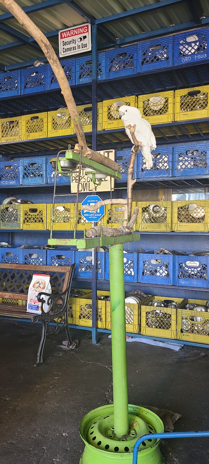 Normandie Tire Shop in Los Angeles